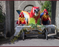 3-13JUIN 0060